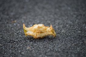 An apple core lying on an asphalt surface remains from a eaten apple