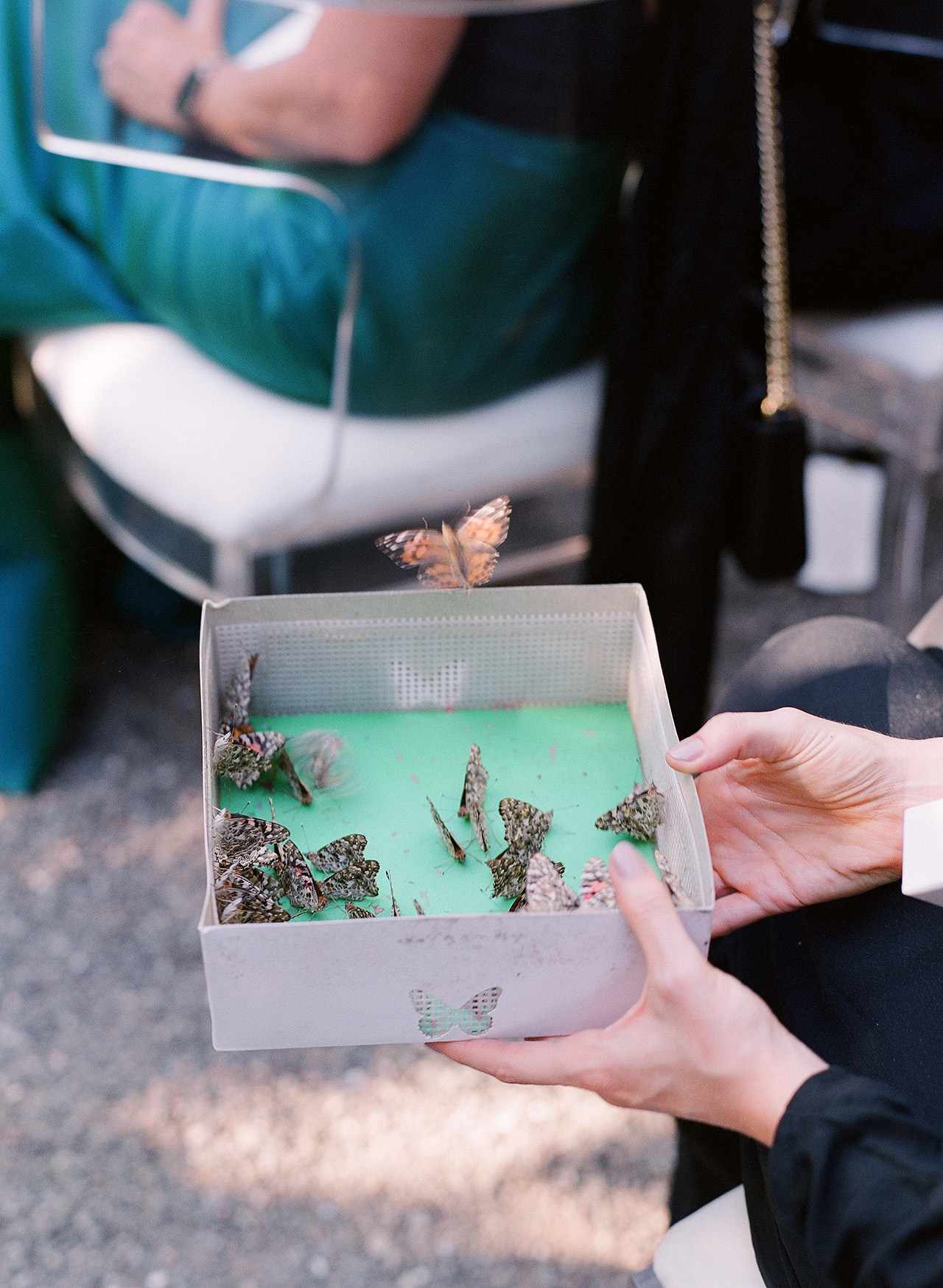 gillian tyler wedding butterflies