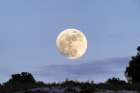 Full moon 
