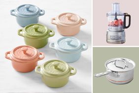 Assorted mini cocottes a food processor and a saucepan displayed separately