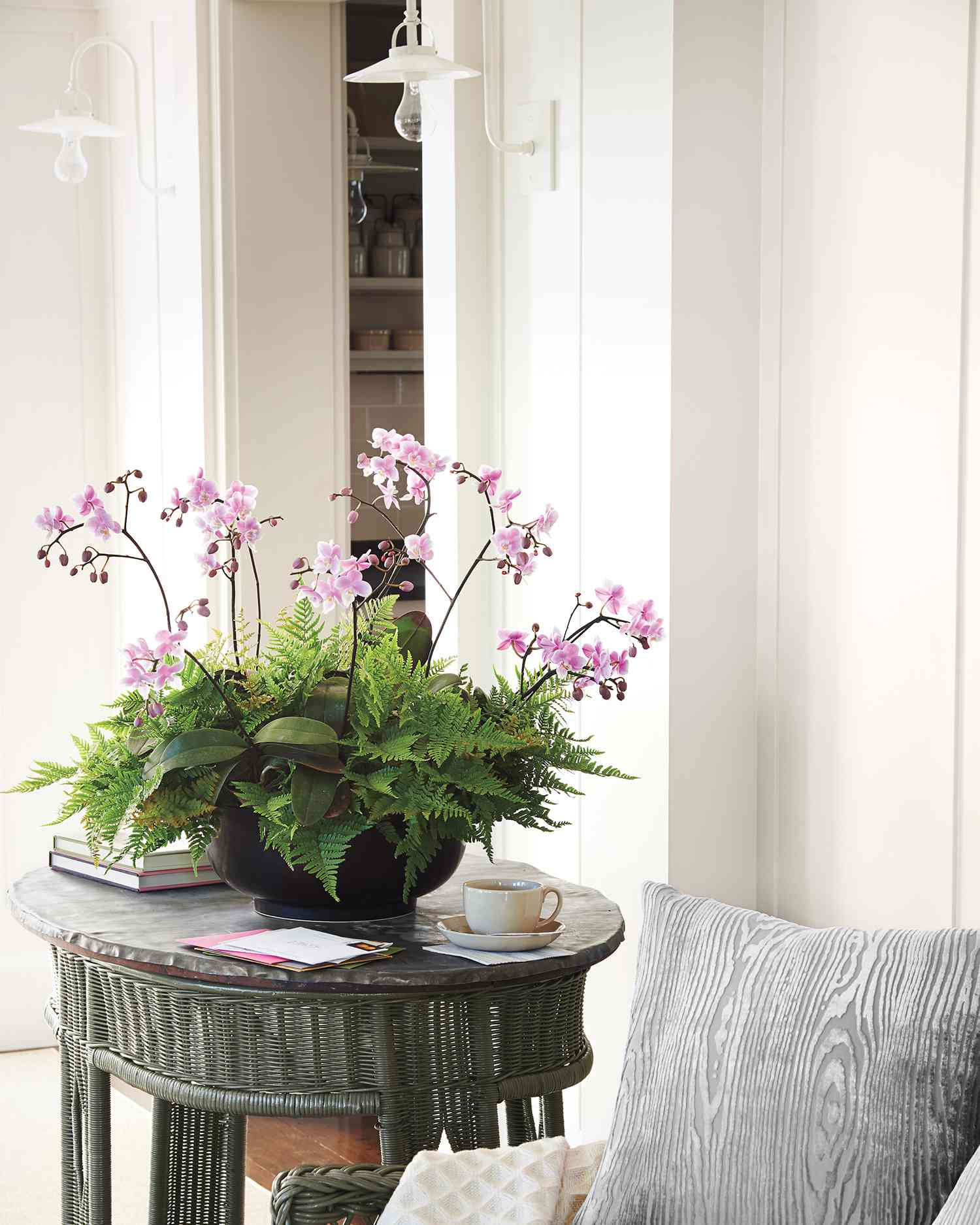 orchids on side table