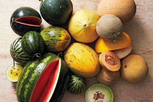Various types of melons