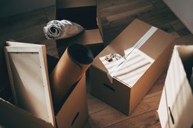 Cardboard storage boxes