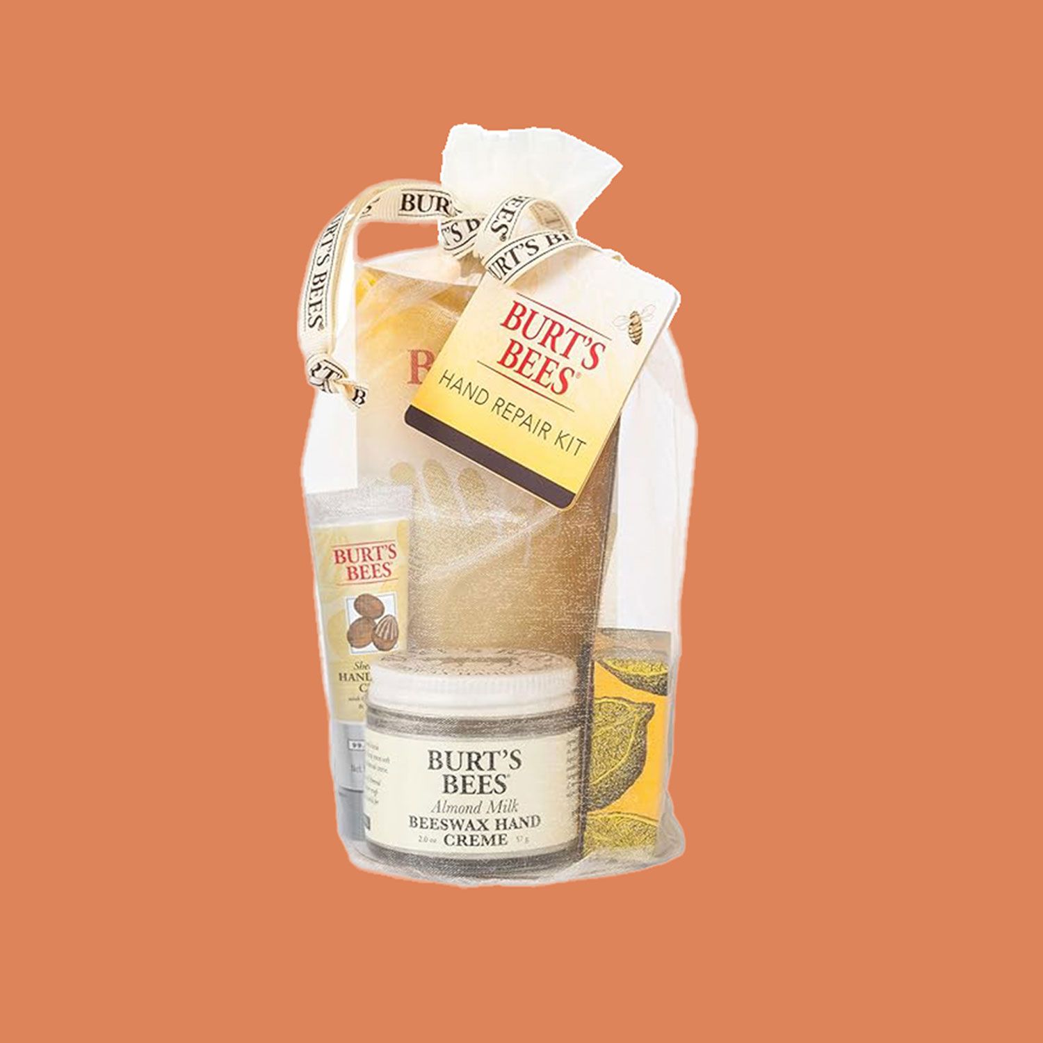 Burts Bee's Gift Bag