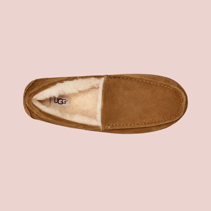 Ugg Ascot Slipper