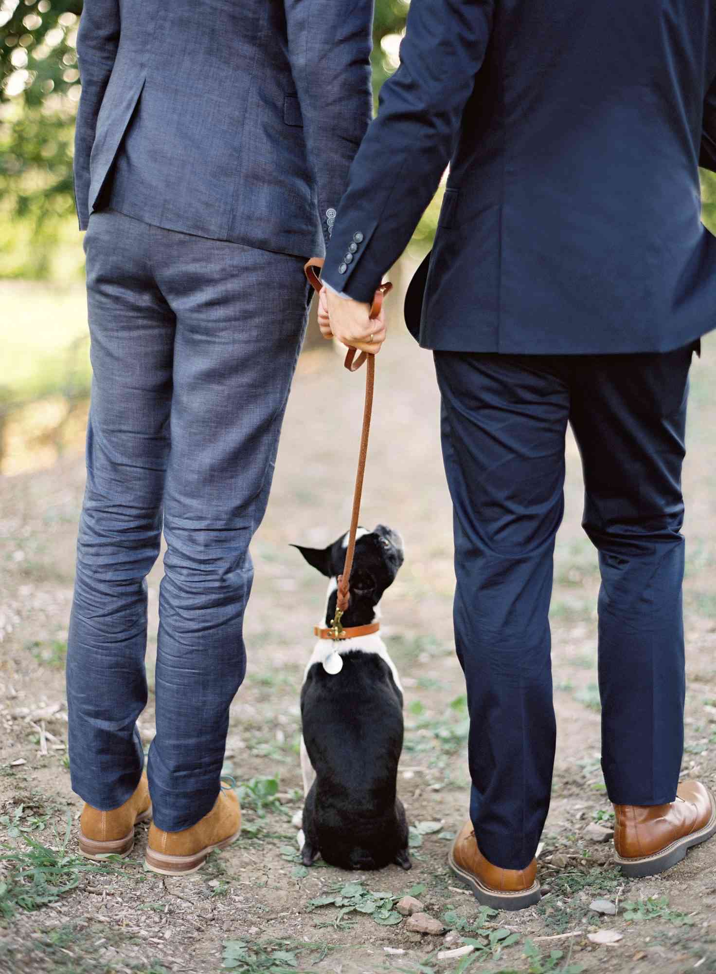 dog wedding leash grooms suits feet