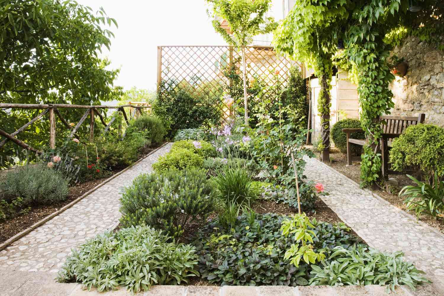 Backyard garden