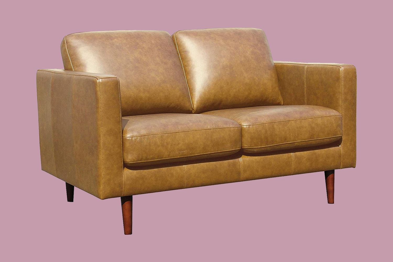 Amazon Brand â Rivet Revolve Modern Leather Loveseat Sofa