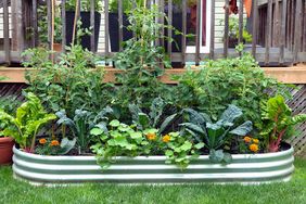 galvanized trough garden