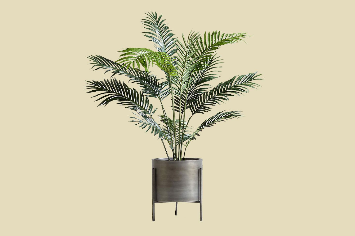 5' Faux Paradise Palm Plant