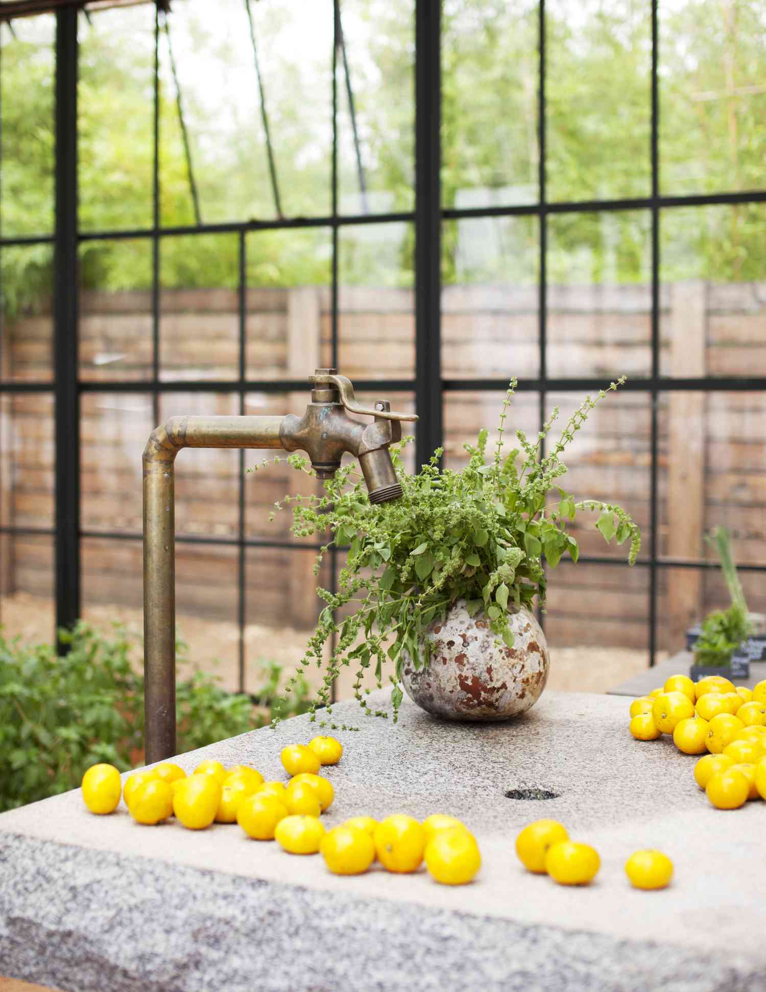Mediterranean style greenhouse