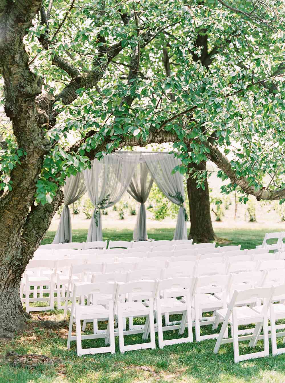 gray chuppah