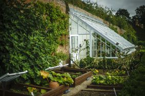 Greenhouse in a Walled English county garden