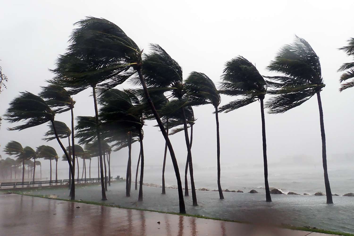 Hurricane Irma seen striking Miami, Florida with 100+ mph winds and destructive storm surge.