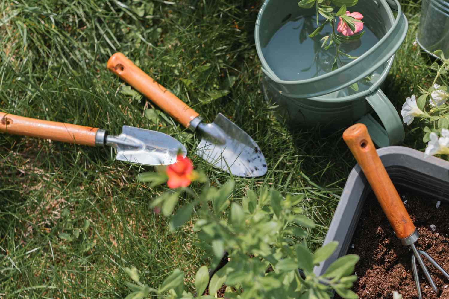 Gardening tools in the grass