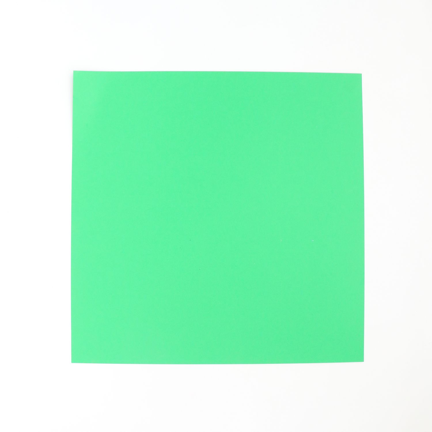 Square piece of green paper
