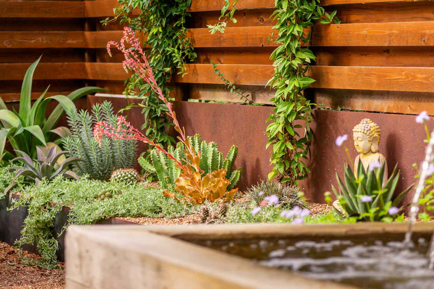 succulent garden ideas
