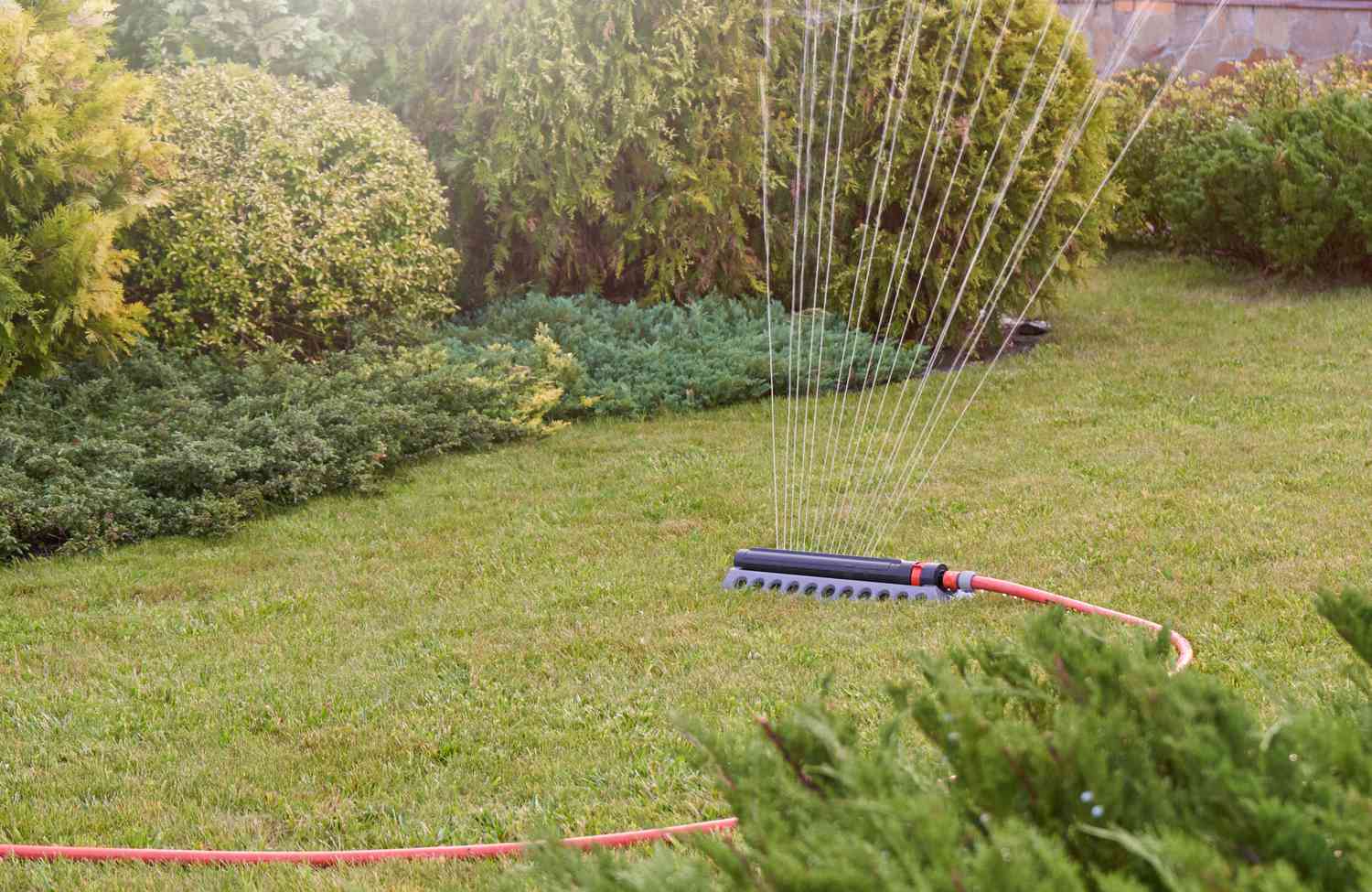 Lawn being watered by sprinkler