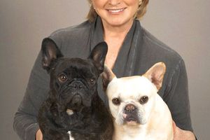 pets_sd104792martha138silo.jpg