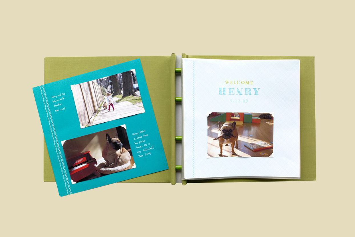 Green and Blue Pet Scrapbook