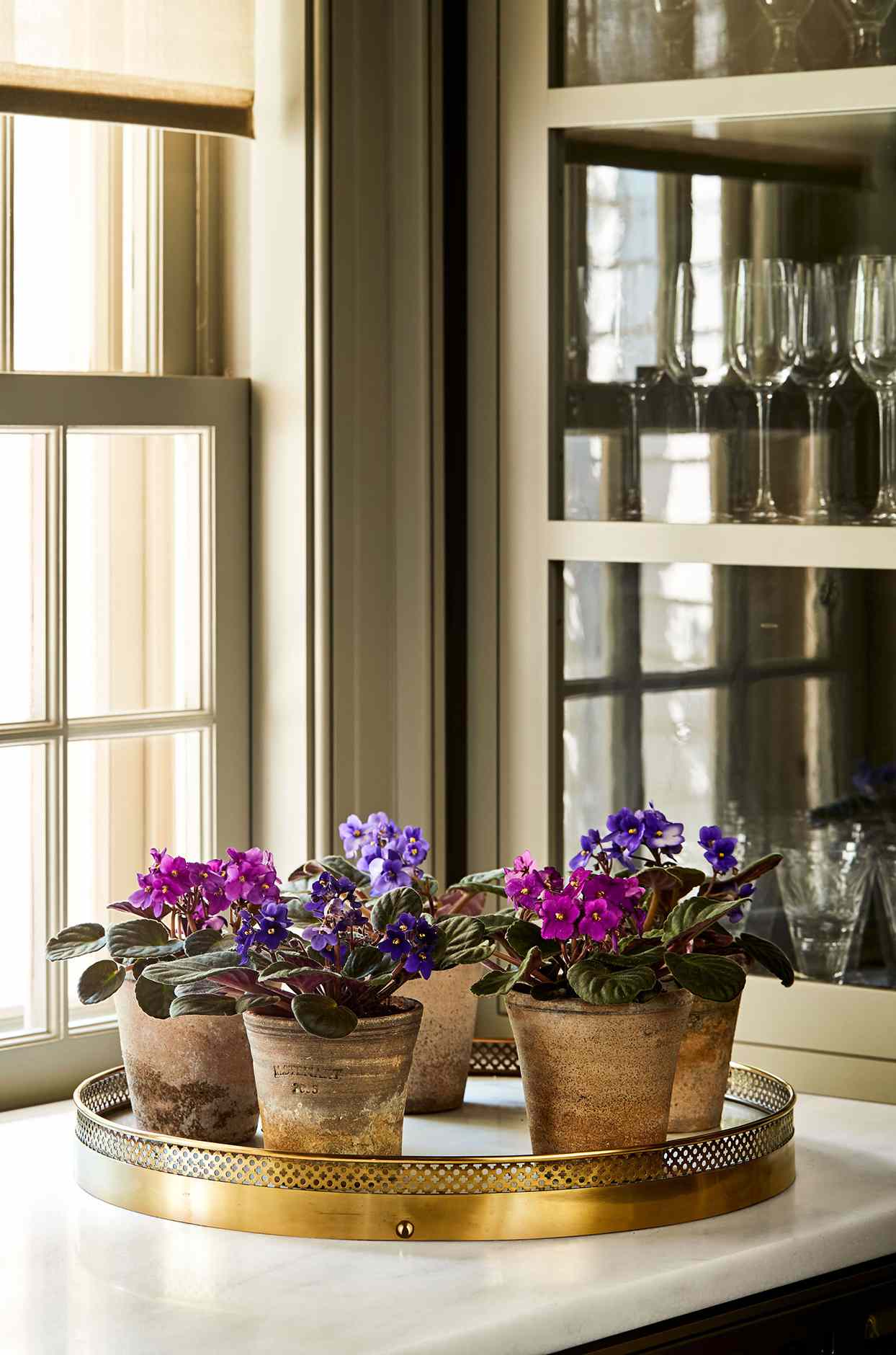 african violets in brown pots on gold tray