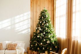 Decorated evergreen tree with ornaments and string lights indoors with sunlight streaming through