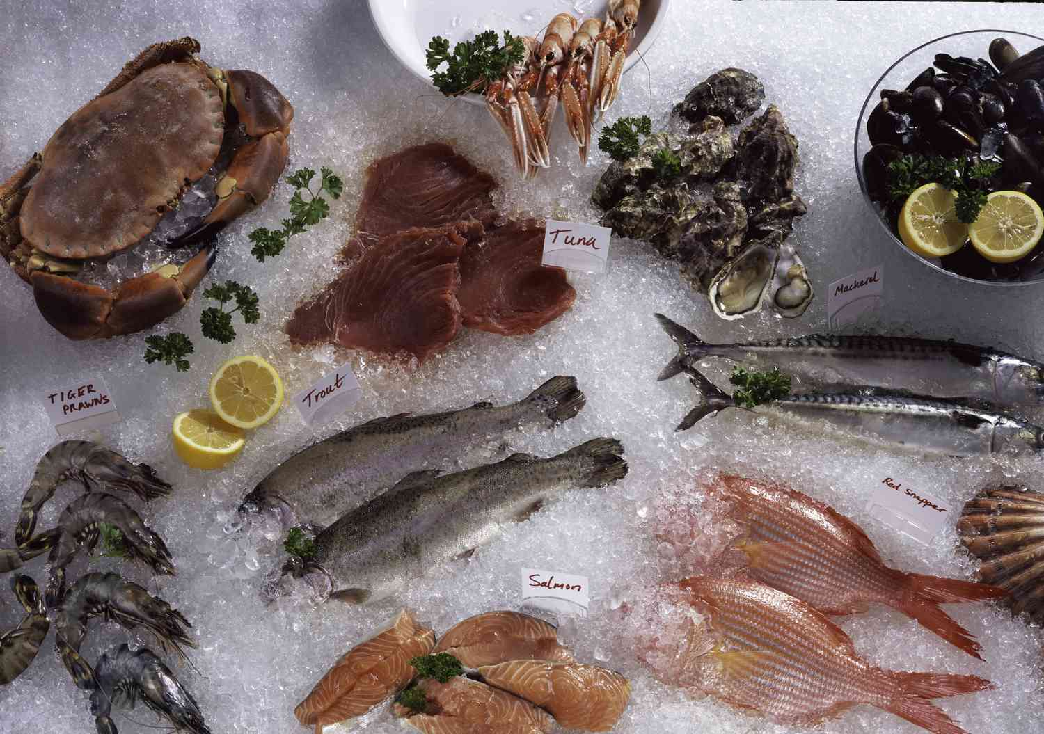 Fish and Shellfish Counter