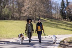 Two women walking on a pathway at a park with their pet dogs