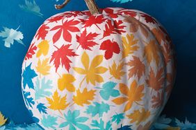 white pumpkin with painted leaves in red yellow light and dark blue
