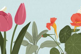 decorvow flower week