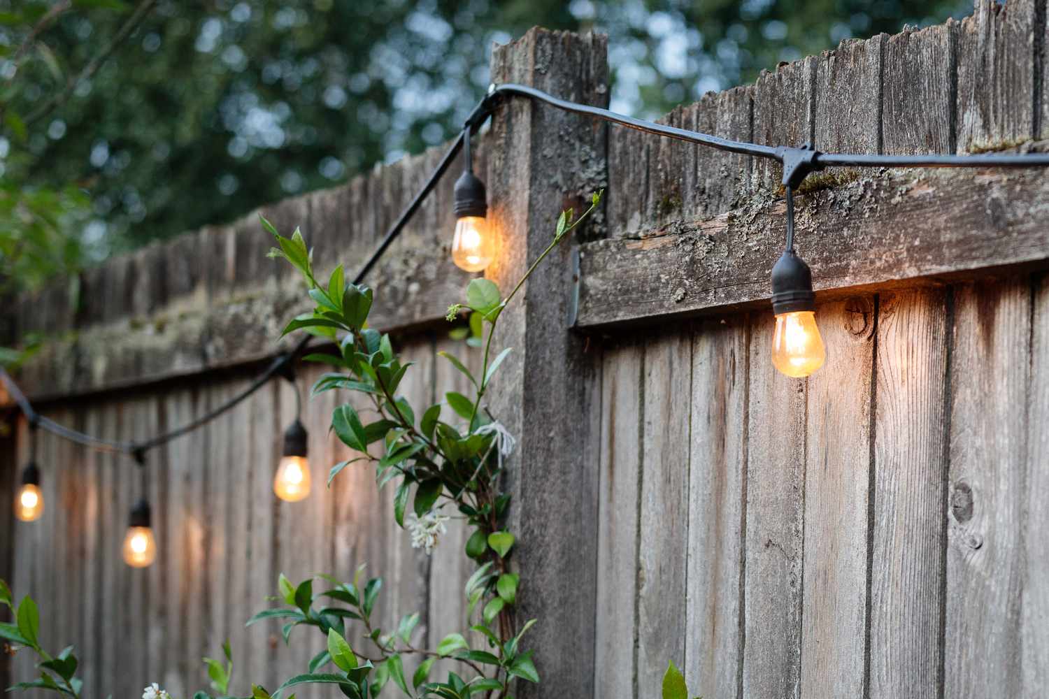 String lights on a fence