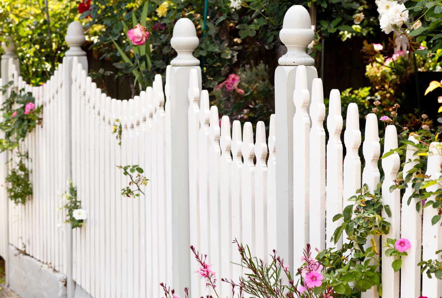 A wooden picket fence with flowers and foliage in a garden setting