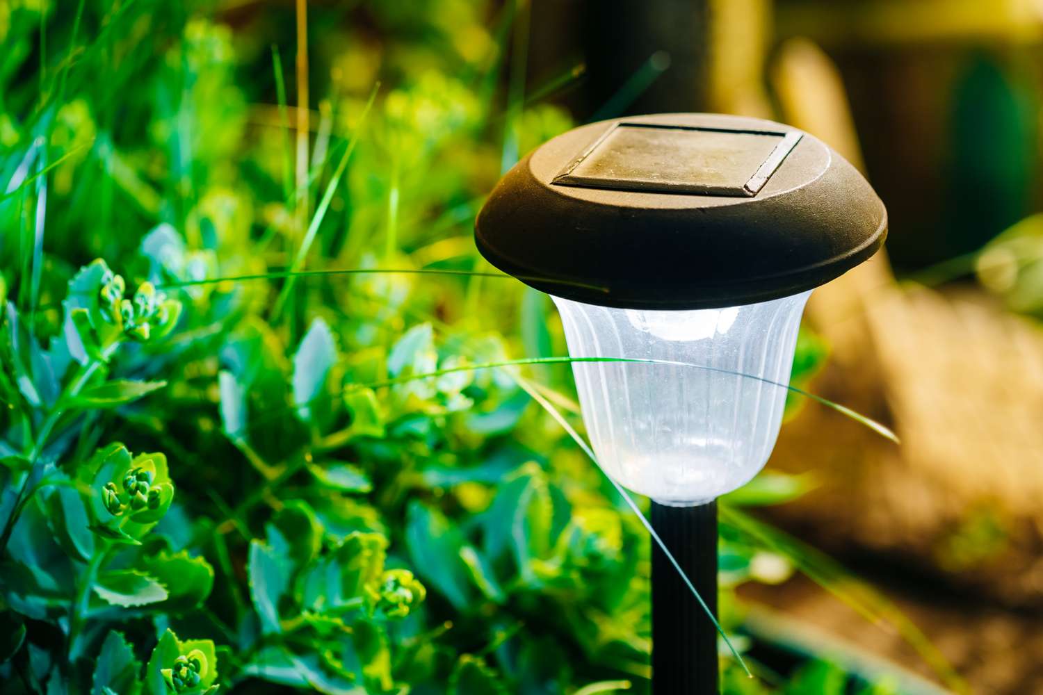 Beautiful Small Solar Garden Light, Lanterns In Flower Bed. Garden Design. Solar Powered Lamp