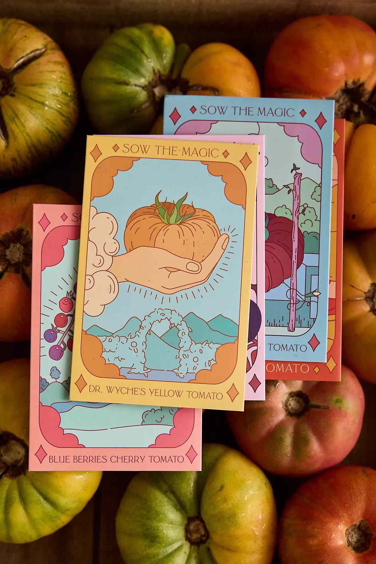 Seed packets arranged on a surface surrounded by heirloom tomatoes