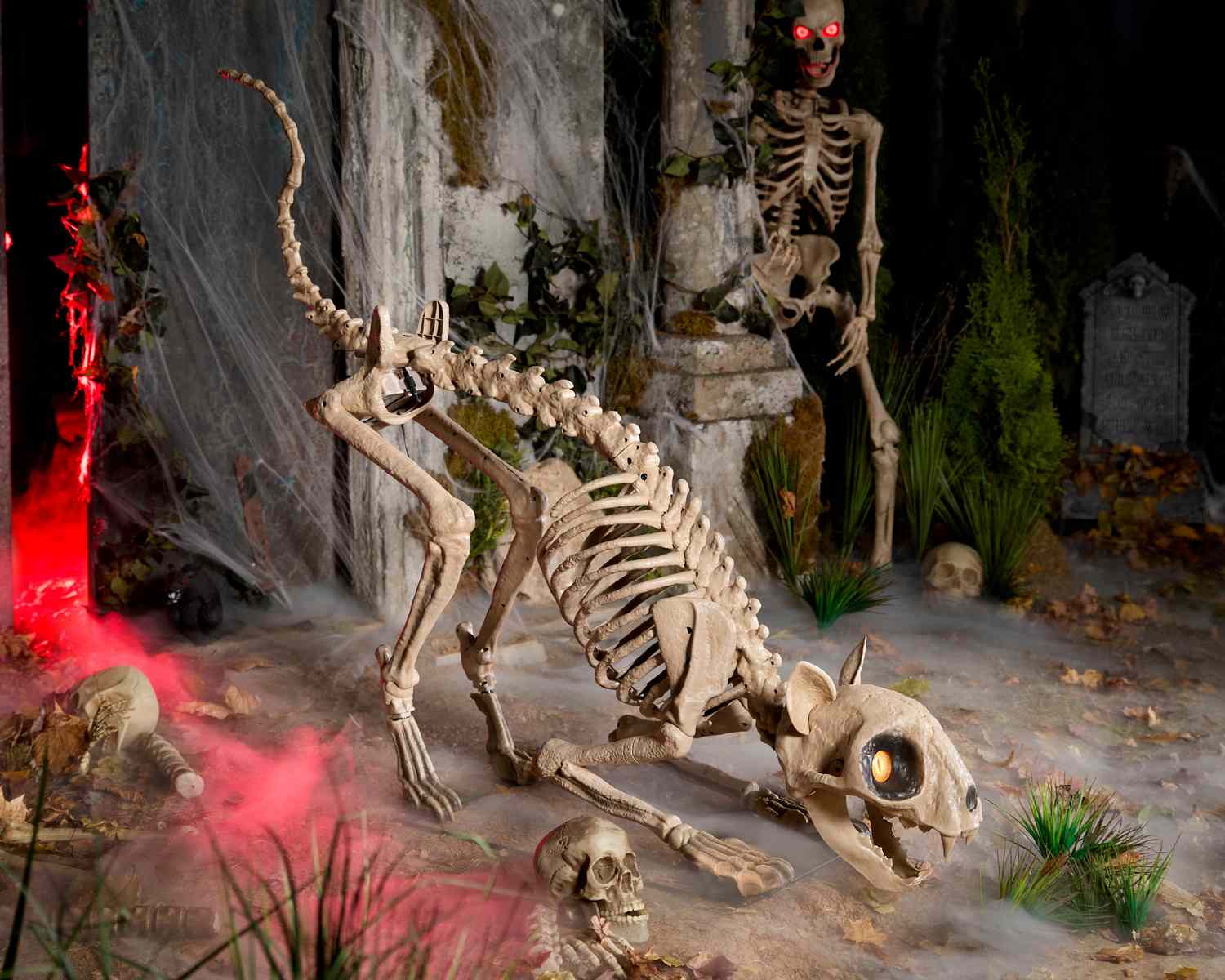 A Halloweenthemed scene featuring a skeletal cat with glowing eyes and skeleton decorations among fog and eerie lighting effects