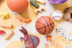 Assorted toys scattered on a surface including balls blocks and toy animals like dinosaurs and a zebra