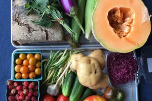 Selection of fresh fruits and vegetables, including tomatoes, berries, cucumbers, potatoes, and eggplant