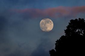 A full moon in a night sky with faint clouds and a silhouette of tree branches