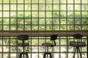 Row of chairs in front of a glass brick wall with greenery outside