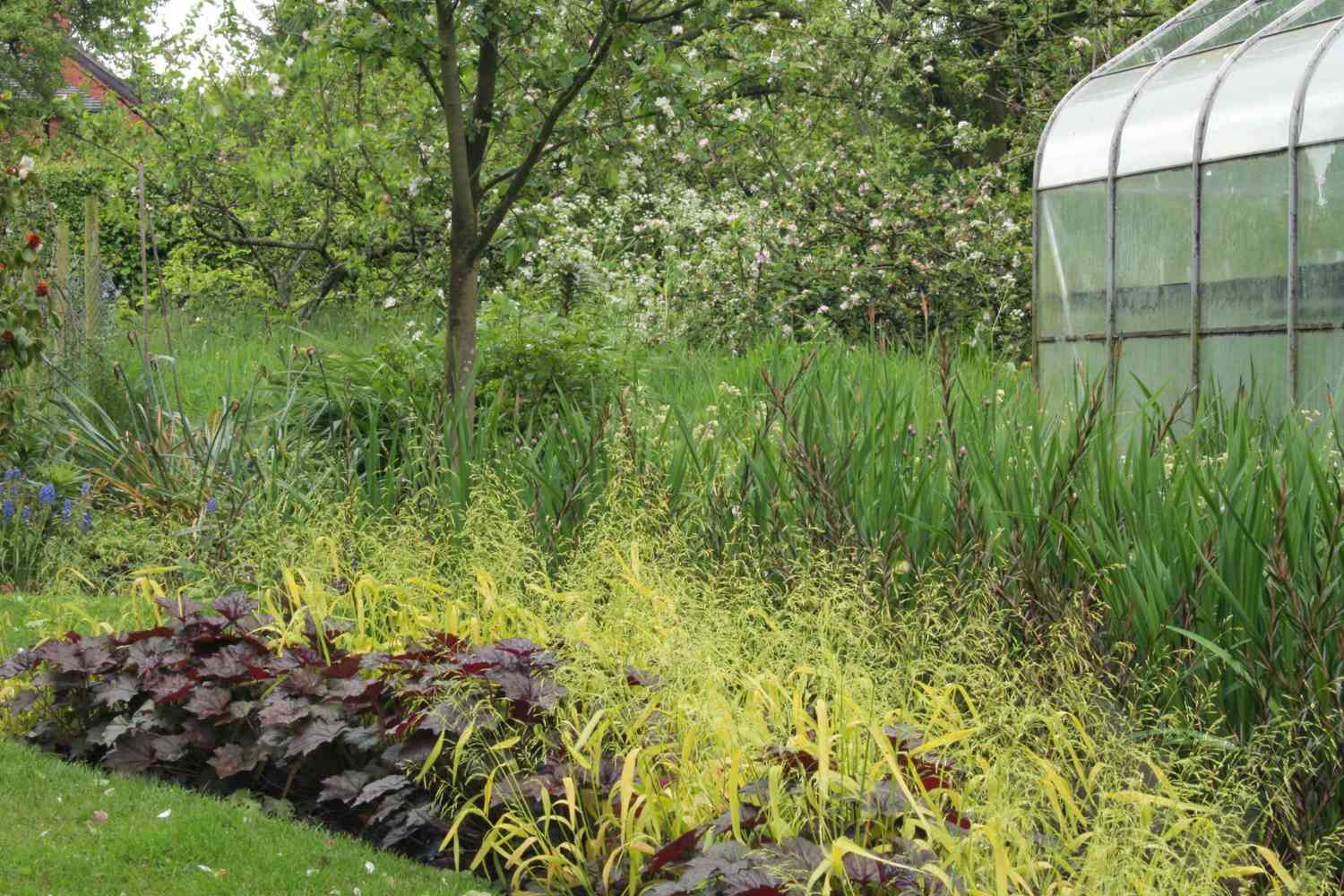 native-plants-garden-getty-0821