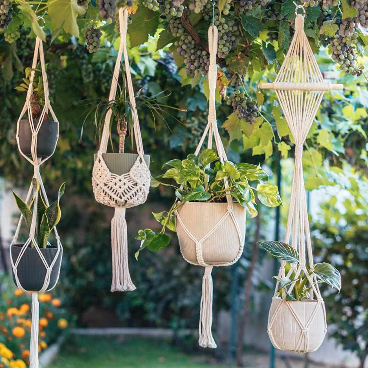  Nook Theory 4-Pack Macrame Plant Hanger