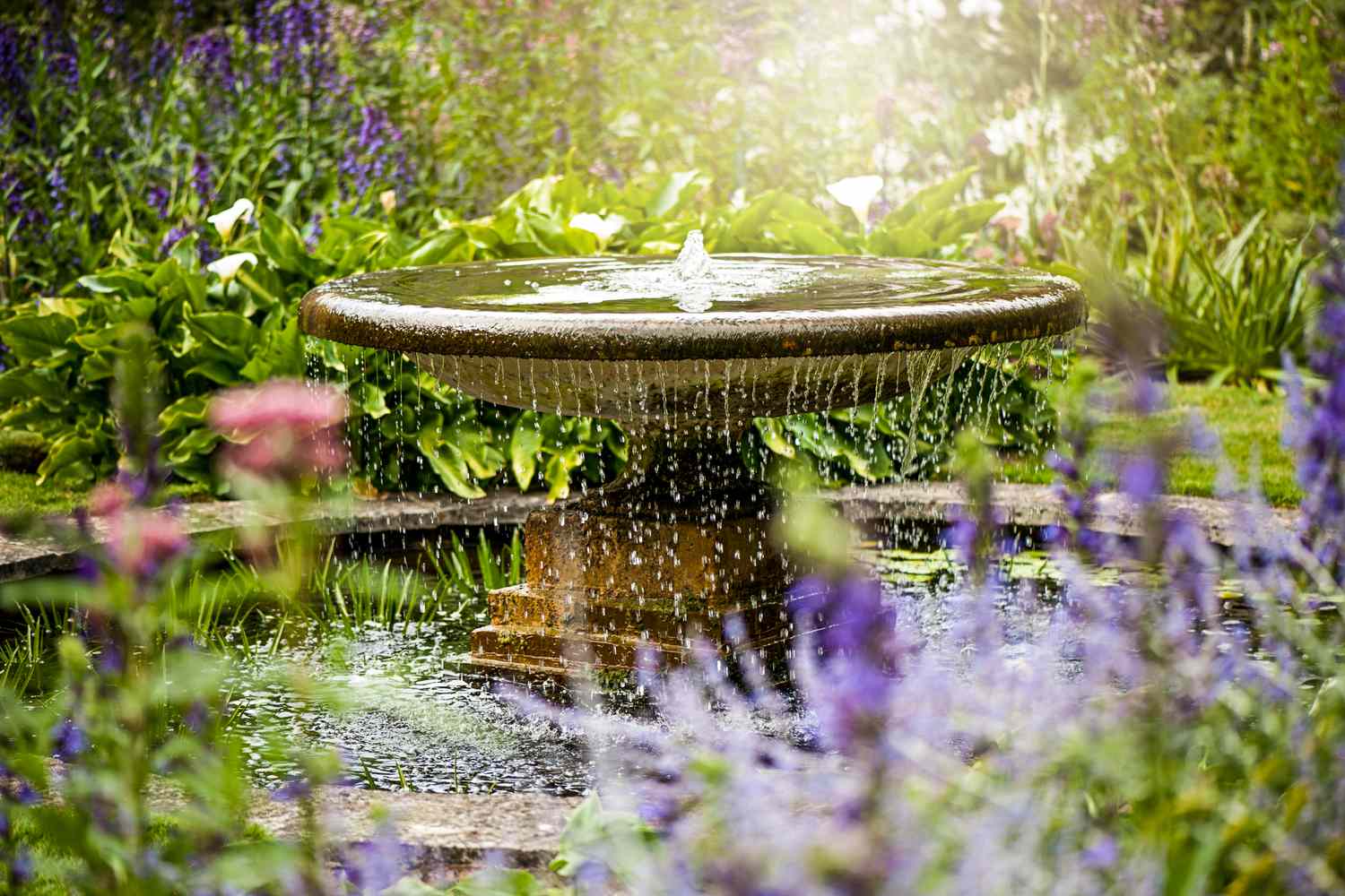 bird bath in backyard garden