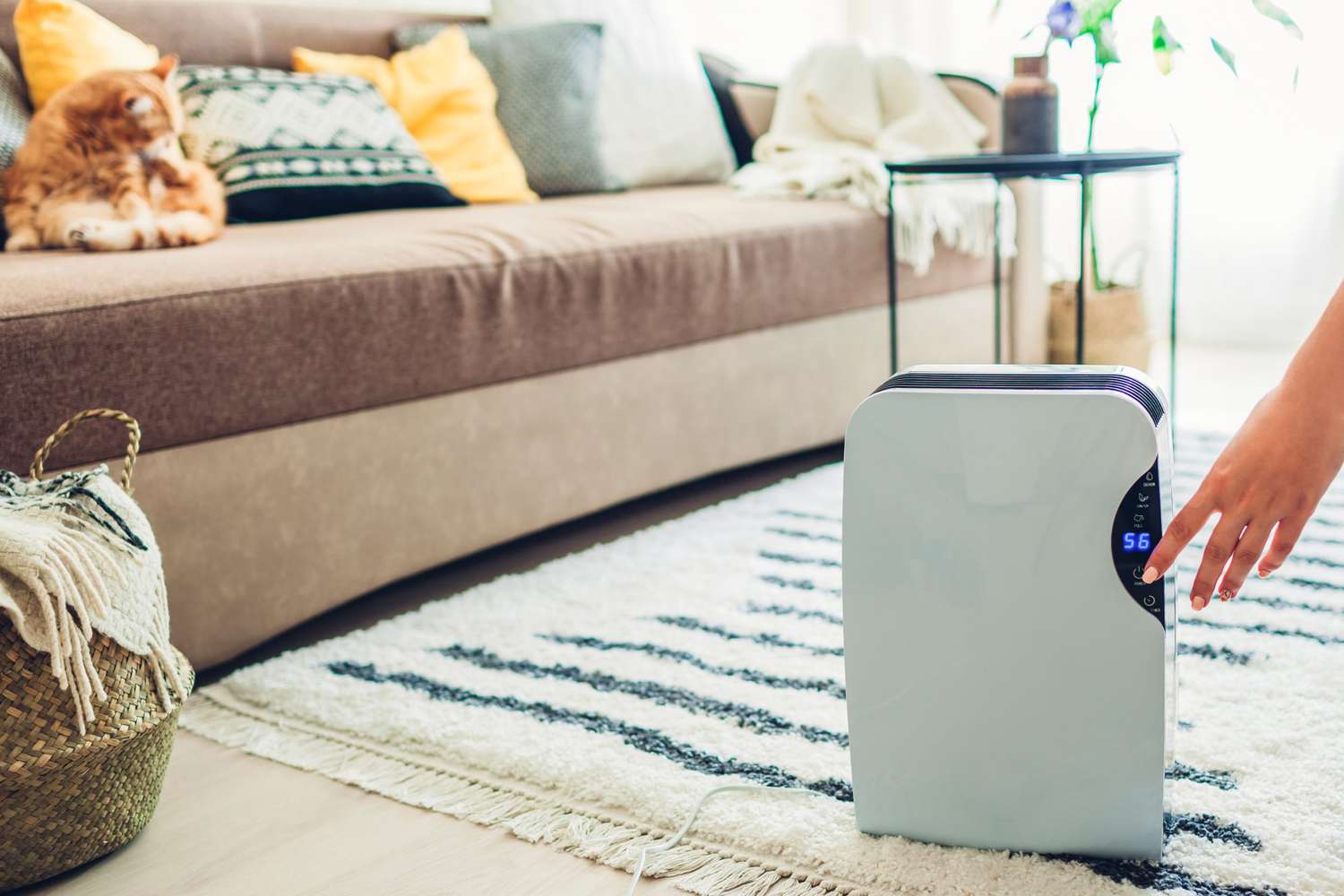 woman turns on dehumidifier in home