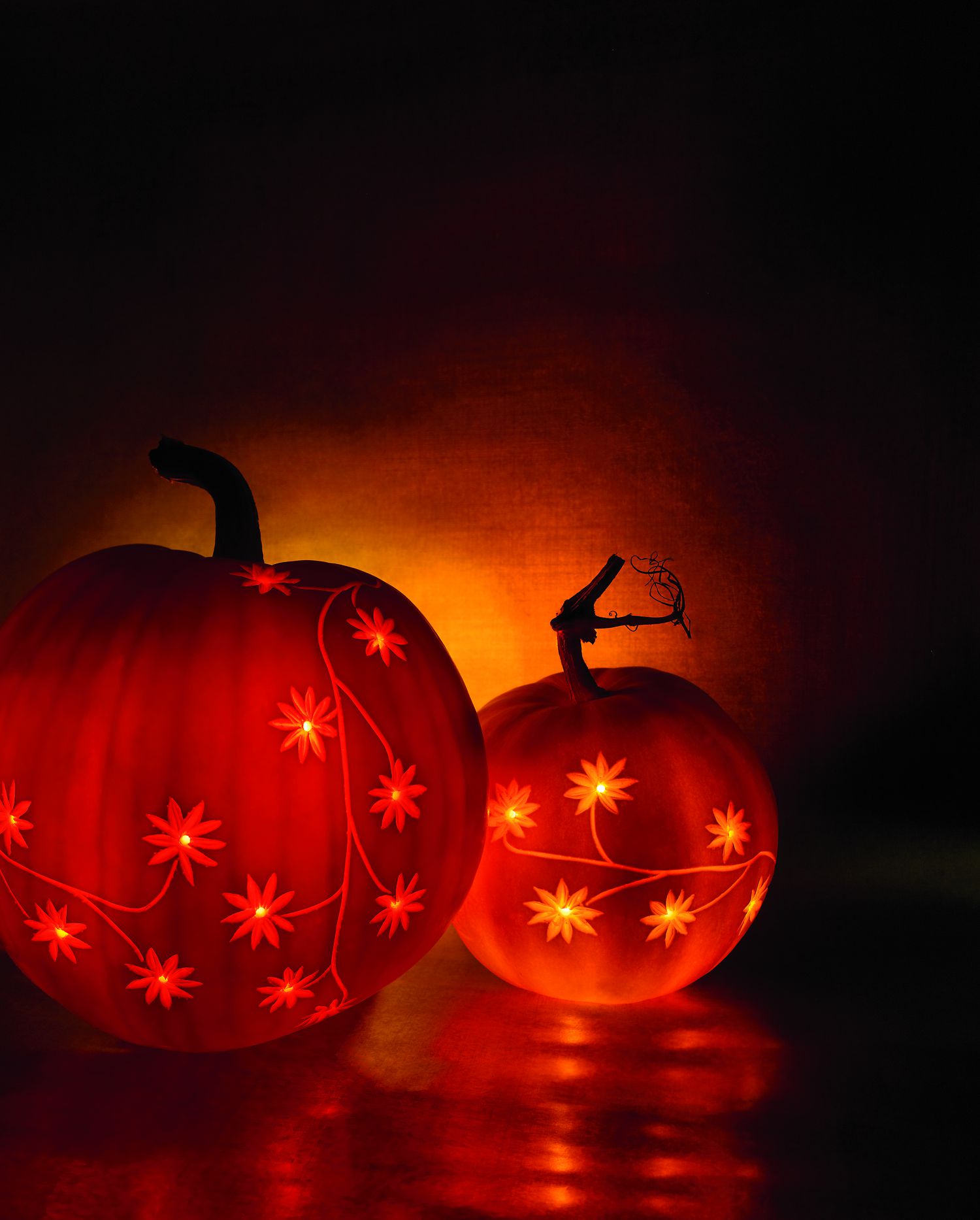 Patterned pumpkins daisies