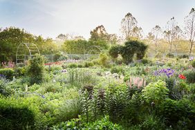 decorvow perennial garden
