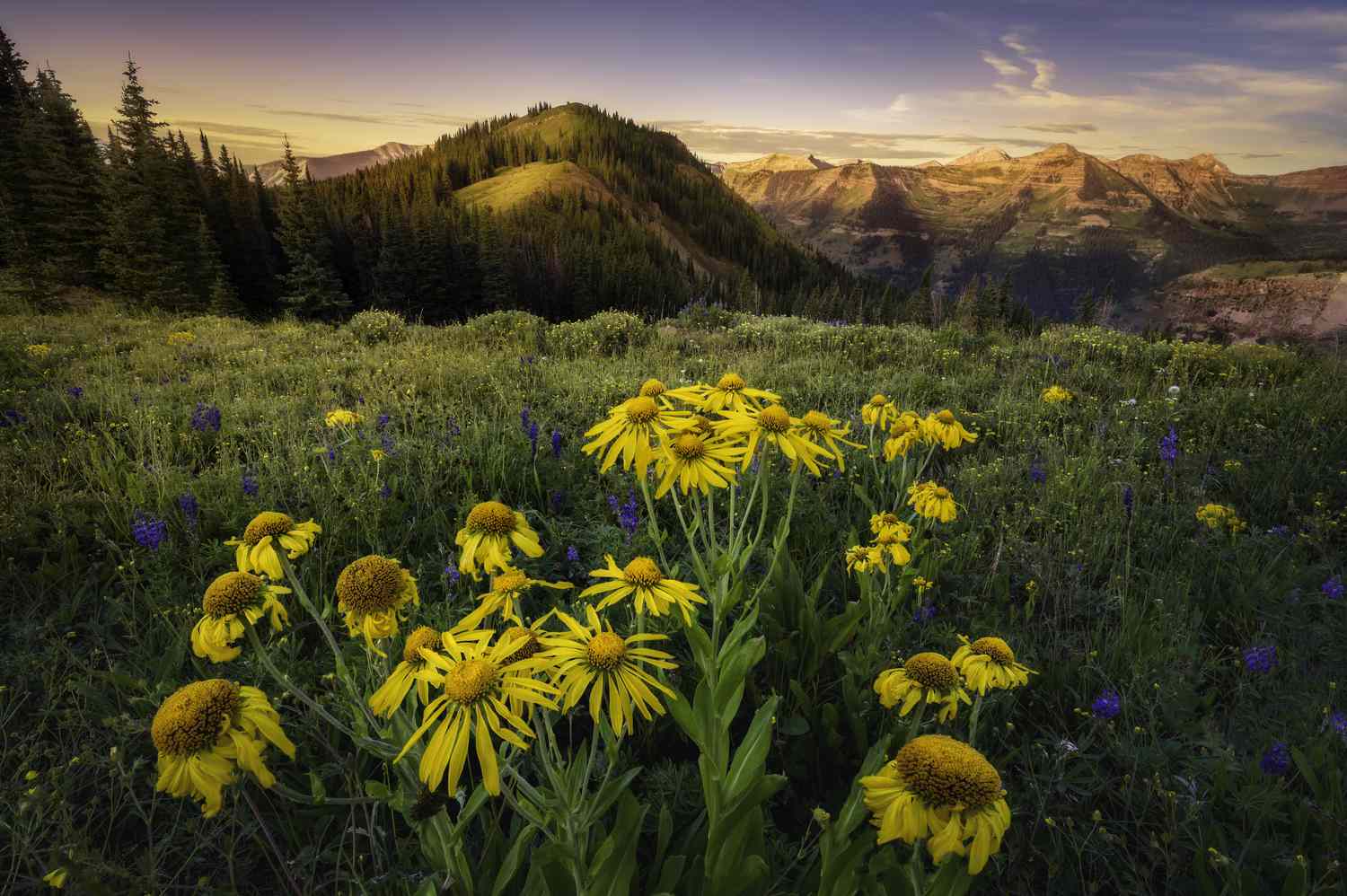 Crested Butte, Colorado