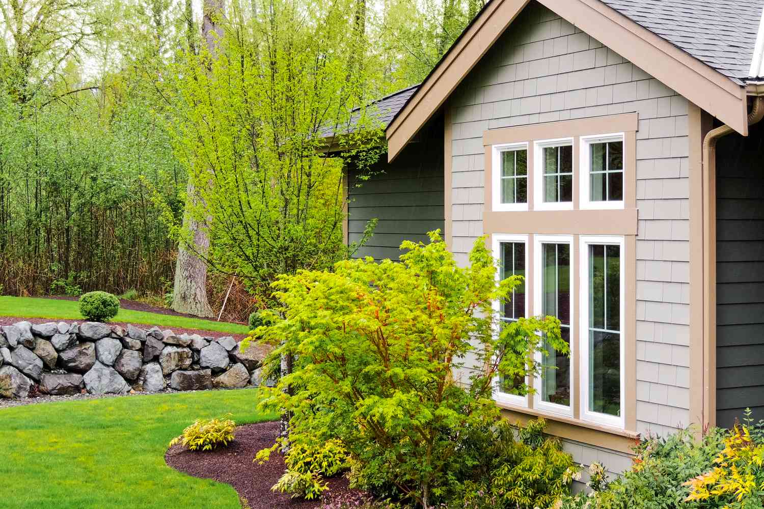 Trim shrub and tree greenery