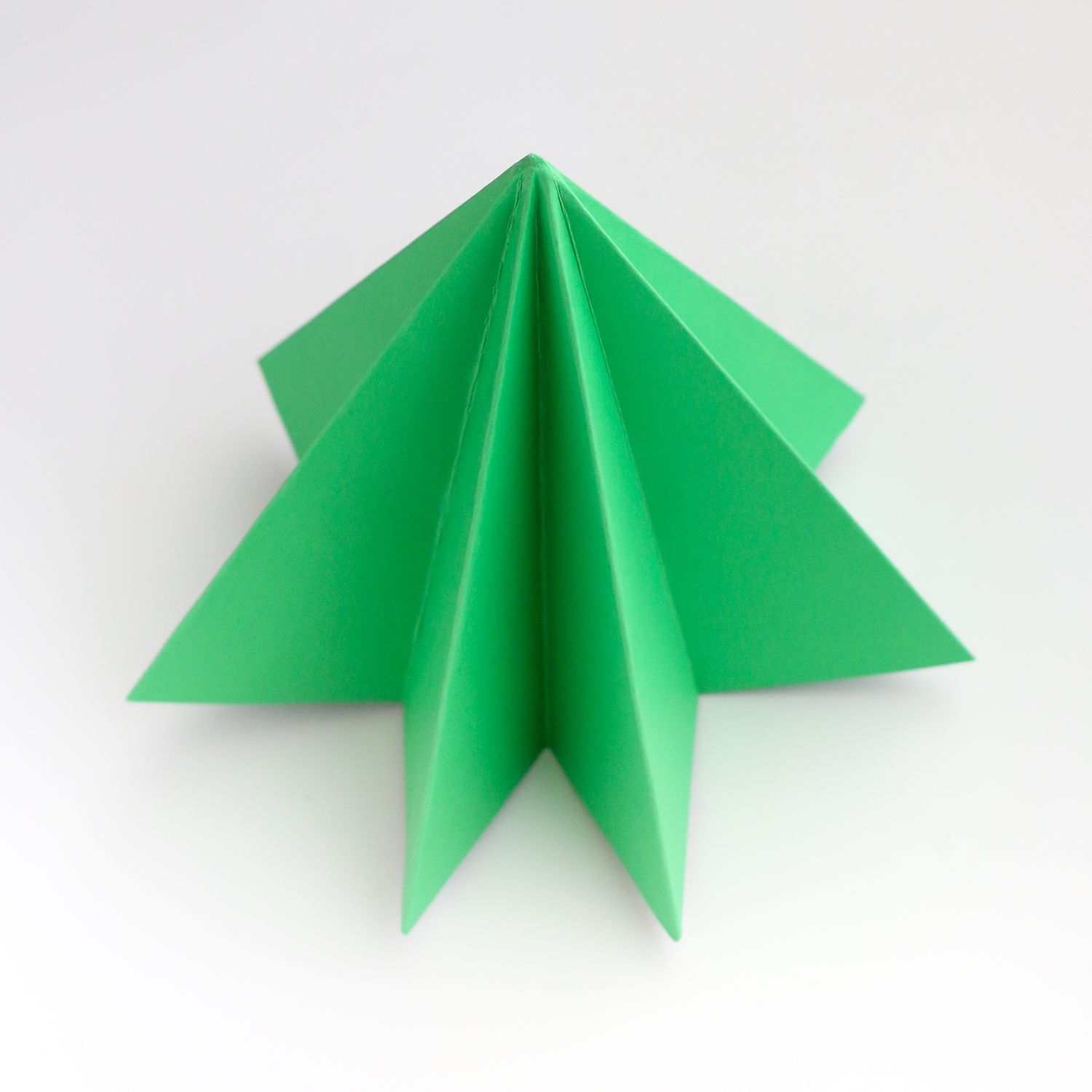 Green piece paper folded into six flaps