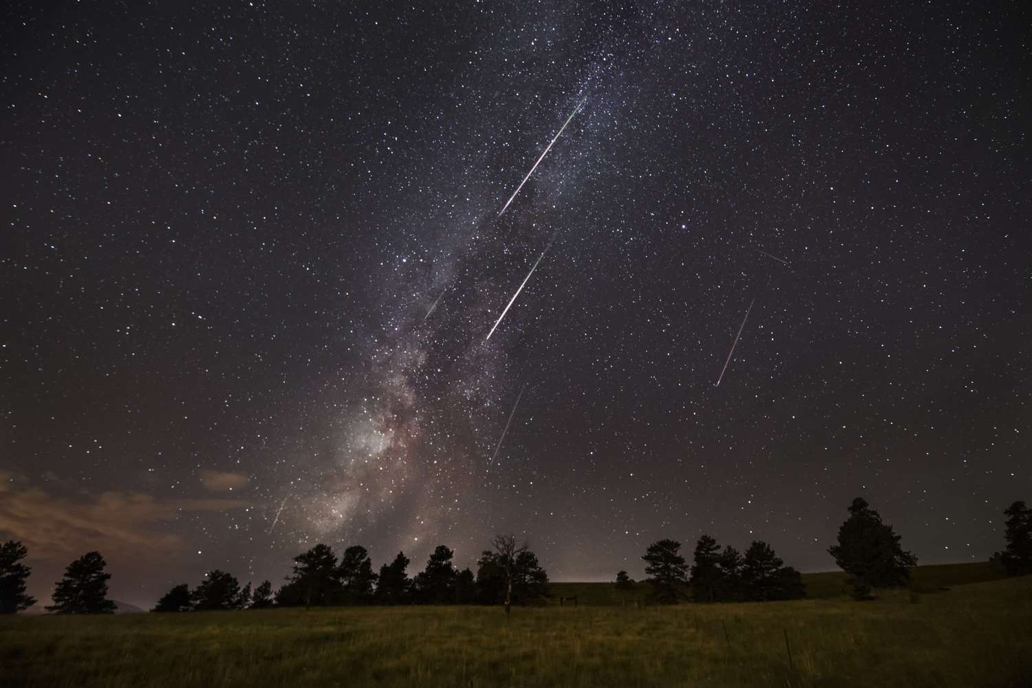 Starry sky with visible Milky Way and shooting stars above a silhouette of trees and grassland
