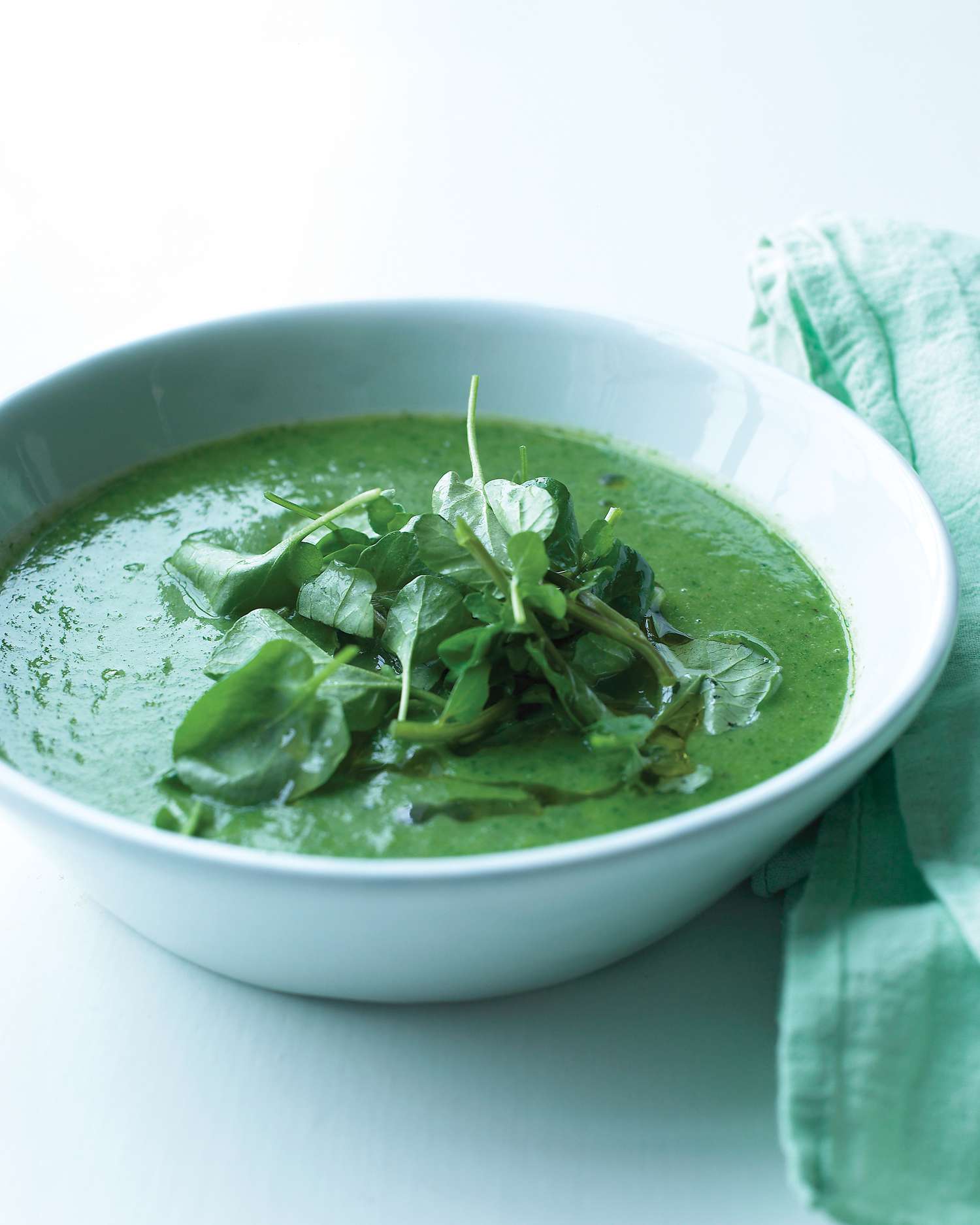 watercress-leek-soup-0509-med104695.jpg